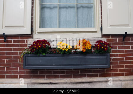 Bunte Blumen schmücken die Fenster von Häusern in der Altstadt von Philadelphia, Pennsylvania, USA Stockfoto