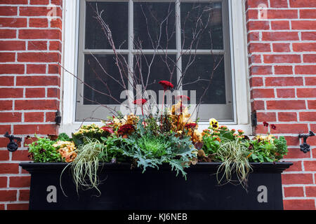 Bunte Blumen schmücken die Fenster von Häusern in der Altstadt von Philadelphia, Pennsylvania, USA Stockfoto