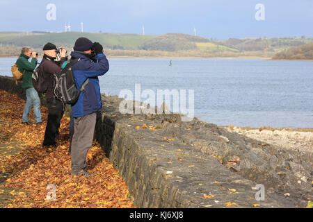 Vogelbeobachter am Carsington Water Reservoir, Derbyshire, Großbritannien Stockfoto