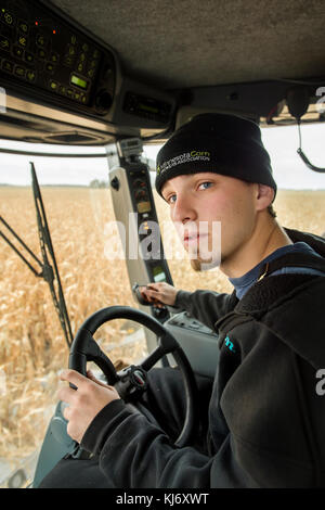 PORTRAIT VON JUNGEN Landwirt in der MÄHDRESCHERKABINE, BLOOMING Prairie, Minnesota. Stockfoto