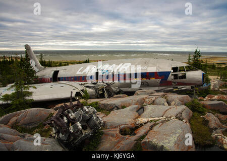 Piggy planewreck Kanada verpassen Stockfoto
