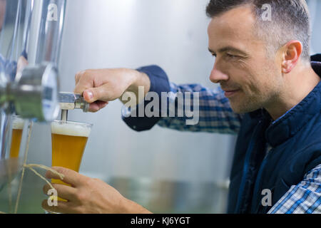 Männliche Hersteller einstellen Manometer in der Brauerei Stockfoto