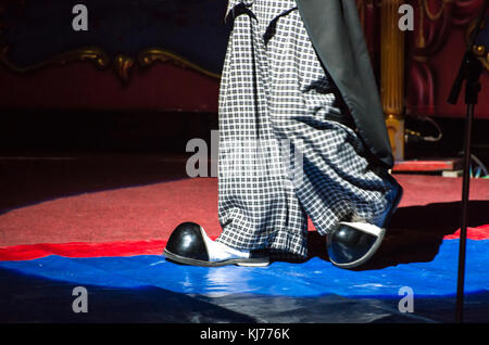 Clown im Zirkus auf der Arena Stockfoto