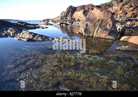 Fingal Bay, nsw in der Nähe von Port Stephens und Nelson Bay nsw Australien Stockfoto