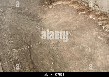 Nazca Linien Kolibri wie aus einem Flugzeug, Nazca, Peru gesehen. Stockfoto