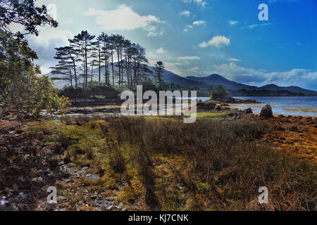 Die Küste in der Nähe von Lauragh auf der Beara-Halbinsel, County Kerry, Irland - John Gollop Stockfoto