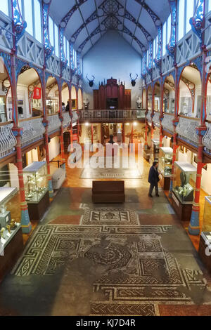 Das Innere der Haupthalle im Dorchester Museum, Dorset, UK - John Gollop Stockfoto