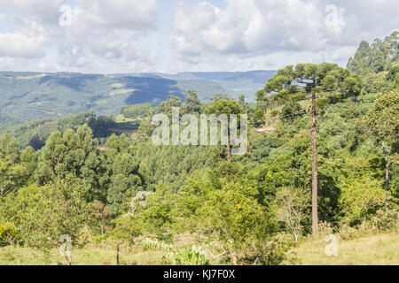 Das Tal und die Berge in Nova Petropolis, Rio Grande do Sul, Brasilien Stockfoto