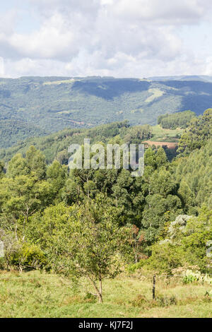 Das Tal und die Berge in Nova Petropolis, Rio Grande do Sul, Brasilien Stockfoto