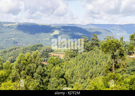 Das Tal und die Berge in Nova Petropolis, Rio Grande do Sul, Brasilien Stockfoto