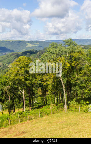 Das Tal und die Berge in Nova Petropolis, Rio Grande do Sul, Brasilien Stockfoto