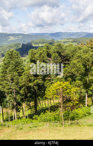 Das Tal und die Berge in Nova Petropolis, Rio Grande do Sul, Brasilien Stockfoto