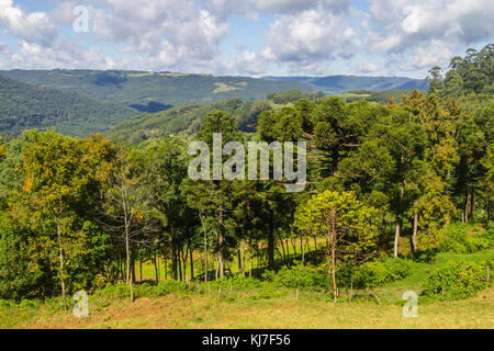 Das Tal und die Berge in Nova Petropolis, Rio Grande do Sul, Brasilien Stockfoto