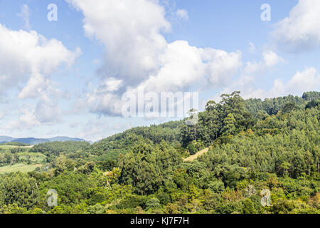 Das Tal und die Berge in Nova Petropolis, Rio Grande do Sul, Brasilien Stockfoto