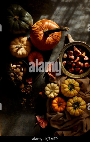 Kürbis und Nüsse, Herbstbild Stockfoto