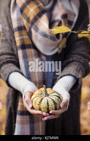 Hände einer Frau, die einen kleinen Kürbis hält Stockfoto