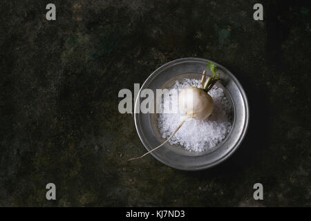 Ganze weiße frische organische Rettich in Metall Platte mit Meersalz über Dark Metal Textur Hintergrund. Ansicht von oben mit der Kopie. Vegetarische Konzept Stockfoto