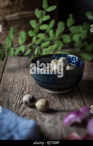 Wachteln Eier in blauer Schüssel in eine rustikale Küche Stockfoto