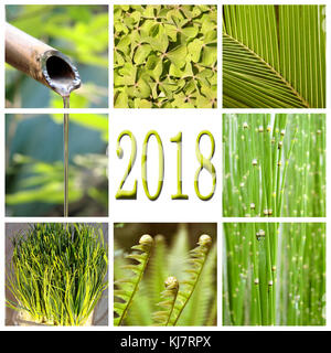 2018, grüne Vegetation collage Stockfoto