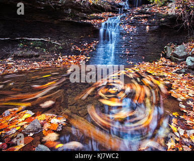 Herbst Swirl Stockfoto