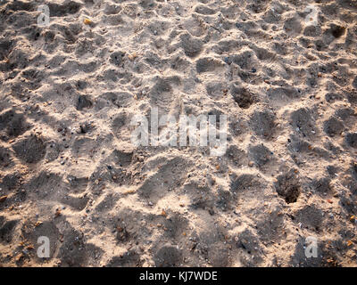 Strand, Dünen, Textur Hintergrund außerhalb; West Mersea, Essex, England, Großbritannien Stockfoto