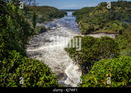 Blick von oben auf die Wasserfälle auf dem Nil nach dem Murchison Falls, auch bekannt als Kabalega Falls. Derzeit von Öl bohren Companie bedroht Stockfoto