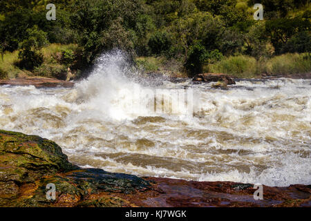 Die Macht der Murchison Falls, auch bekannt als Kabalega Falls, ist ein Wasserfall zwischen Kyoga und Lake Albert auf dem Weißen Nil in Uganda. Stockfoto