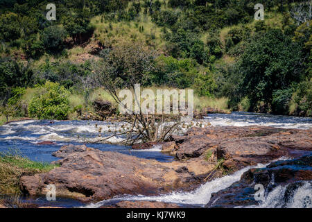 Die Oberseite der Murchison Falls, auch bekannt als Kabalega Falls, ist ein Wasserfall zwischen Kyoga und Lake Albert auf dem Weißen Nil in Uganda.cur Stockfoto