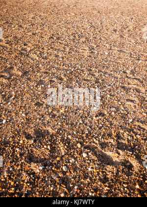 Strand stock Hintergrund Textur Steine Pflastersteine verschiedene Nass sun; West Mersea, Essex, England, Großbritannien Stockfoto