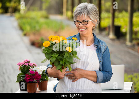 Schöne Reife Frau arbeitet in einem Gewächshaus halten Blumen an ihren Händen Stockfoto