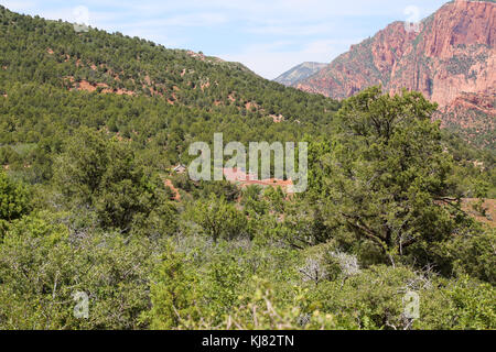 Navajo-Sandsteinformationen vom Timber Creek Overlook Trail, Zion National Park Stockfoto