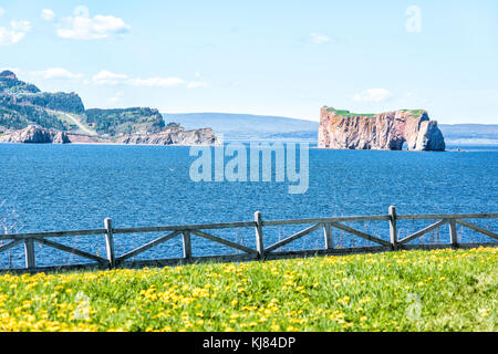 Blick auf Rocher Perce aus die Insel Bonaventure mit Ozean und gannett Vögel fliegen, stadtbild Skyline oder die Küste der Stadt, weißen Zaun und Blumen Stockfoto