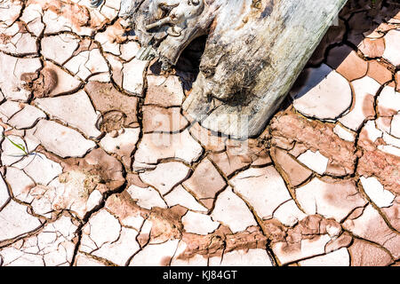 Makro Nahaufnahme von roten getrockneten Boden Bett mit Schlamm Risse, Holz, Lehm, Muster und Strukturen in der Wüste Stockfoto