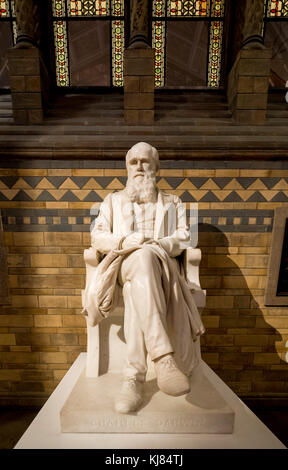 Charles Darwin statue am Natural History Museum, London, UK. Stockfoto