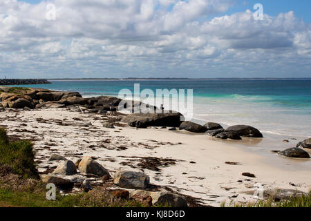 Remote Flinder's Bay, Augusta, South Western Australien an einem bewölkten Tag im späten Frühjahr mit dem kalten südlichen Ozean isoliert Läppen der felsigen Ufer. Stockfoto