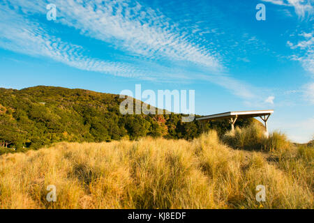 Piha Beach, Auckland, Neuseeland Stockfoto