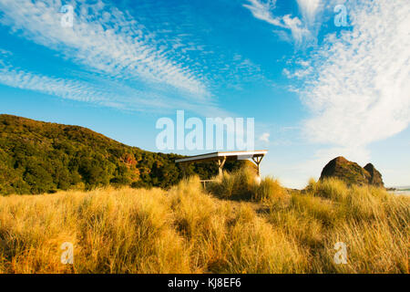 Piha Beach, Auckland, Neuseeland Stockfoto