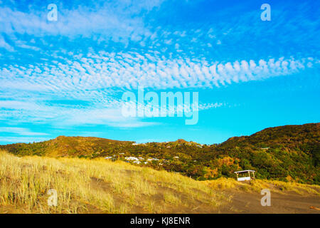 Piha Beach, Auckland, Neuseeland Stockfoto