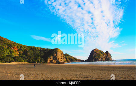 Anzeigen von Piha Beach, Neuseeland North Island. Stockfoto