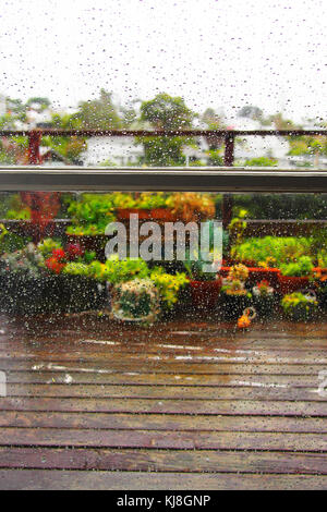 Regentropfen auf Fenster mit Garten im Hintergrund Stockfoto