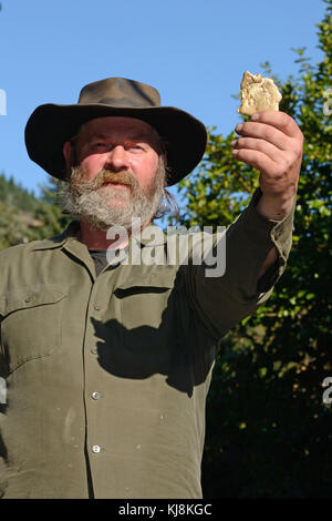 Ein Prospektor hält ein Exemplar einer alluvial Gold Nugget. Konzentrieren Sie sich auf die Nugget. Stockfoto