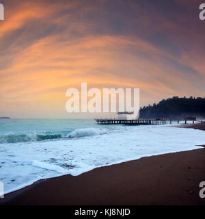 Sommer Arbor am Strand Stockfoto