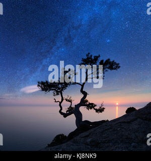 Allein Baum am Rand der Klippe Stockfoto