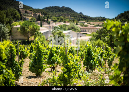 Historische Dorf Gigondas, Côtes du Rhône, Provence, Frankreich Stockfoto