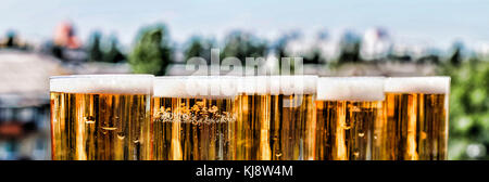 Basteln Sie ein Bier in einen Krug und ein Glas. Sommer. Nach oben Schließen Stockfoto