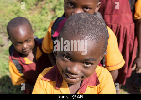 Afrikanische Schule Kindern an einer Grundschule in der Nähe von Kasese, Western Uganda, in Afrika. Stockfoto