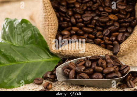 Nahaufnahme von frisch gerösteten Kaffeebohnen in Jute Sack und grüne Blätter Stockfoto