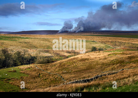 Heather brennen. Blick nach Norden in Richtung Westen nach Backstone Kante auf der Spur Führen weg von der B6265 zu Grimwith Behälter. North Yorks Yorkshire Dales Stockfoto