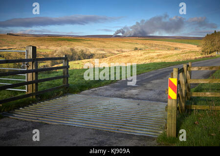 Heather brennen. Blick nach Norden in Richtung Westen nach Backstone Kante auf der Spur Führen weg von der B6265 zu Grimwith Behälter. North Yorks Yorkshire Dales Stockfoto