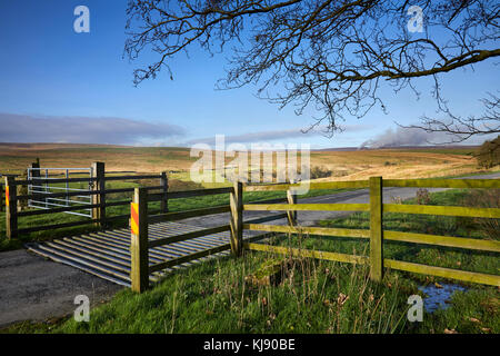 Heather brennen. Blick nach Norden in Richtung Westen nach Backstone Kante auf der Spur Führen weg von der B6265 zu Grimwith Behälter. North Yorks Yorkshire Dales Stockfoto